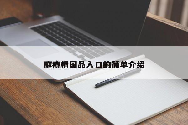 麻痘精国品入口的简单介绍
