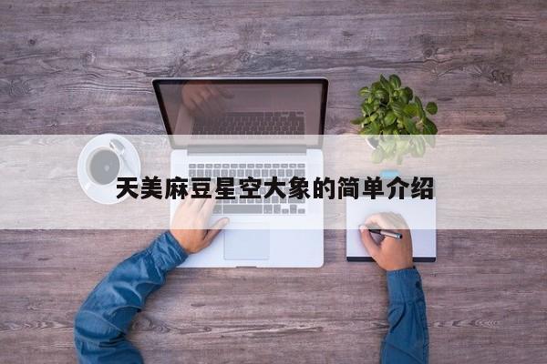 天美麻豆星空大象的简单介绍